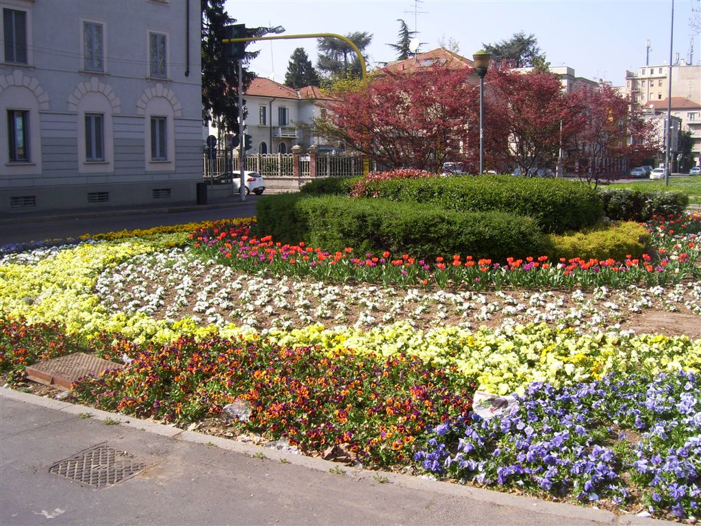 Comune di Milano Aiuola fiorita
